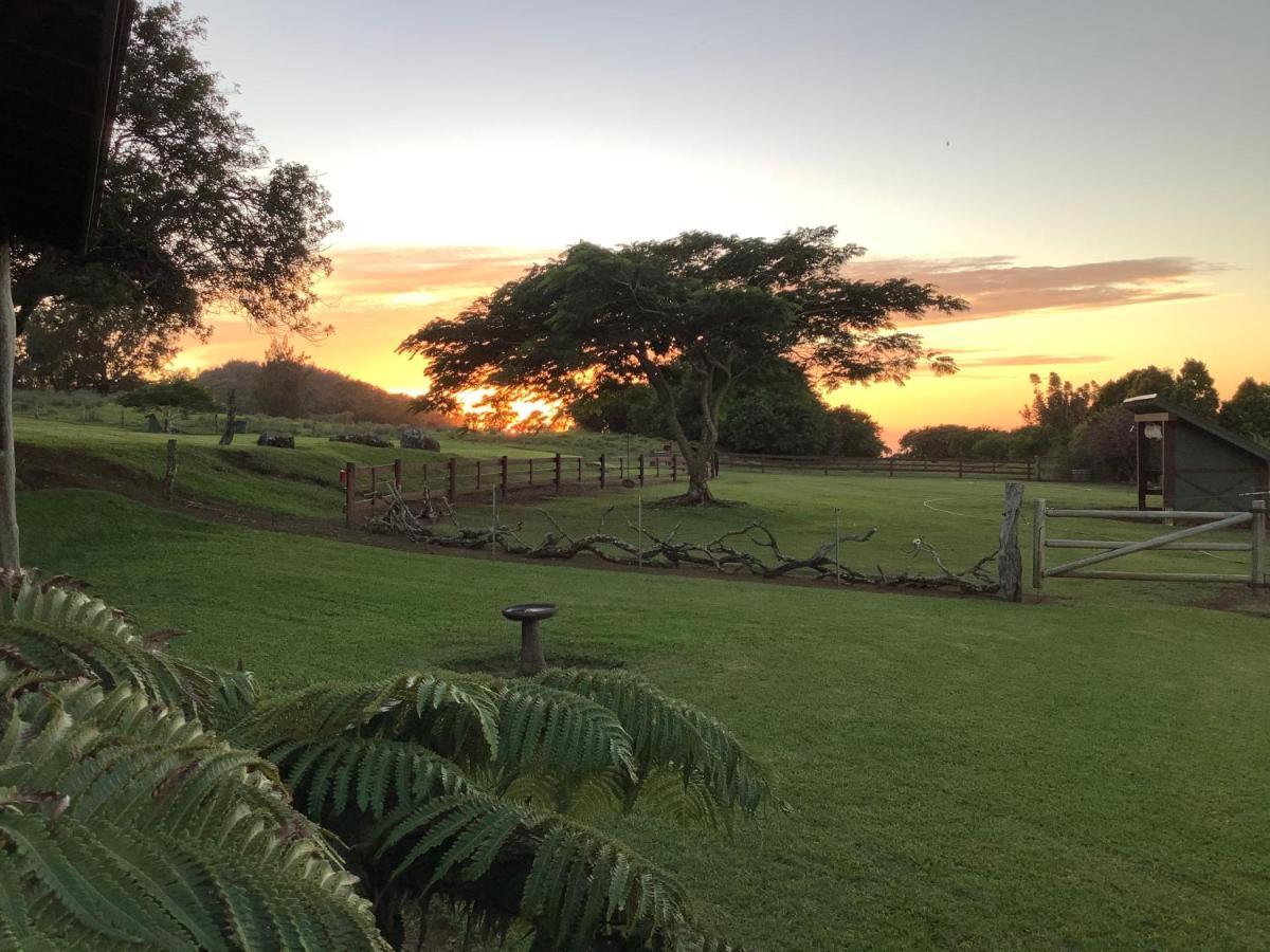 Kohala Lodge- Vacation Rental House Hawi Bagian luar foto