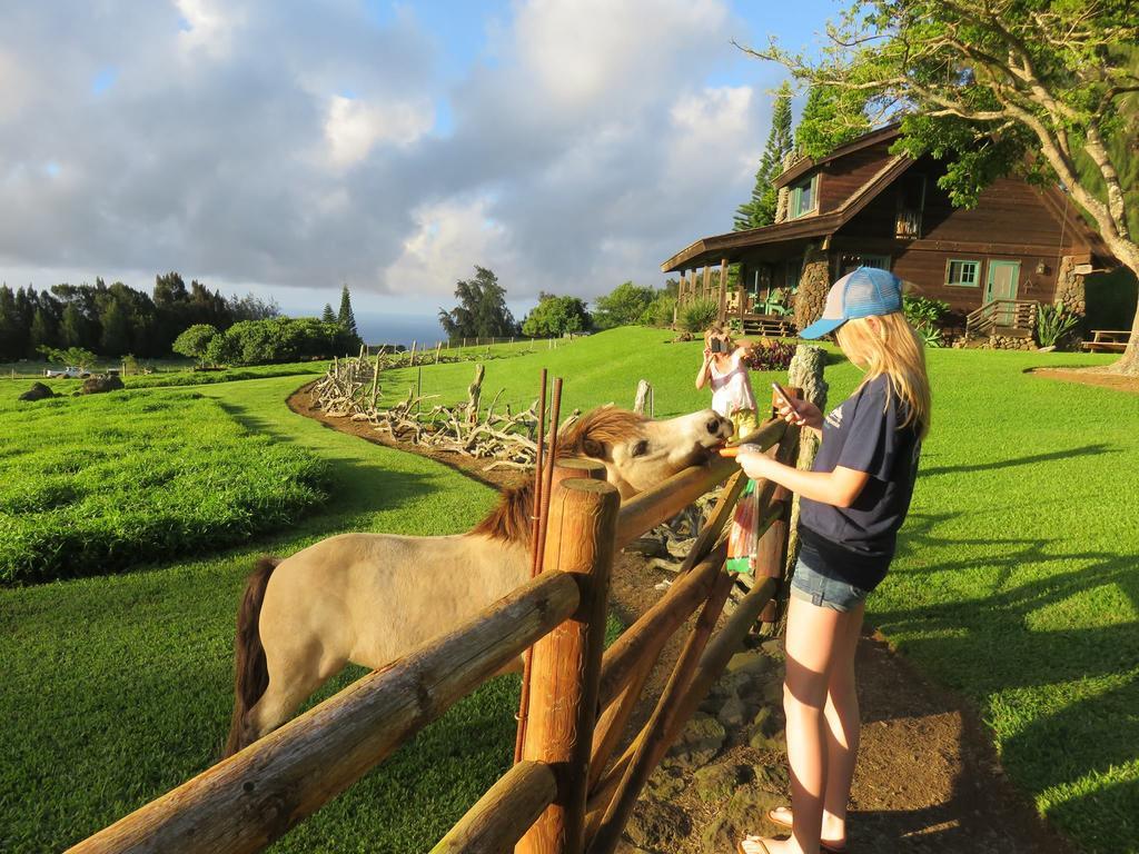 Kohala Lodge- Vacation Rental House Hawi Bagian luar foto
