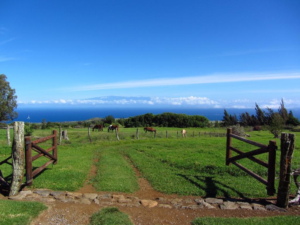 Kohala Lodge- Vacation Rental House Hawi Bagian luar foto