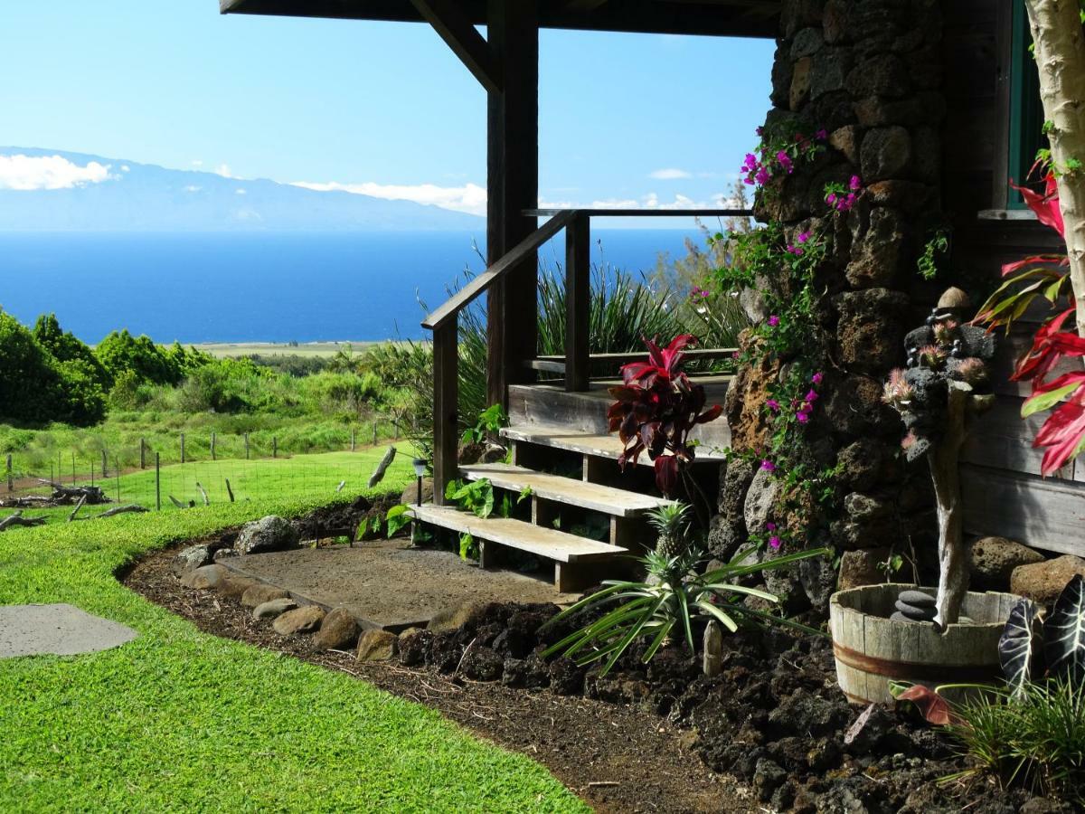 Kohala Lodge- Vacation Rental House Hawi Bagian luar foto